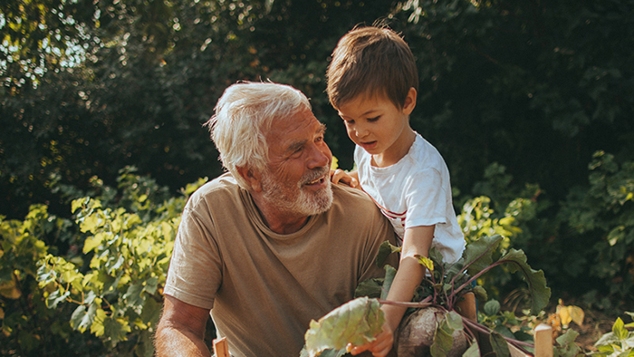 Little boy and his grandfather have collected vegetables from their organic garden they cultivate together