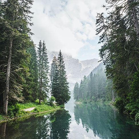 Body of water reflecting surrounding pine trees during daytime