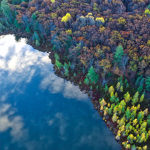 Vue de dessus du ciel bleu reflétée dans un lac à côté d'une forêt d'arbres