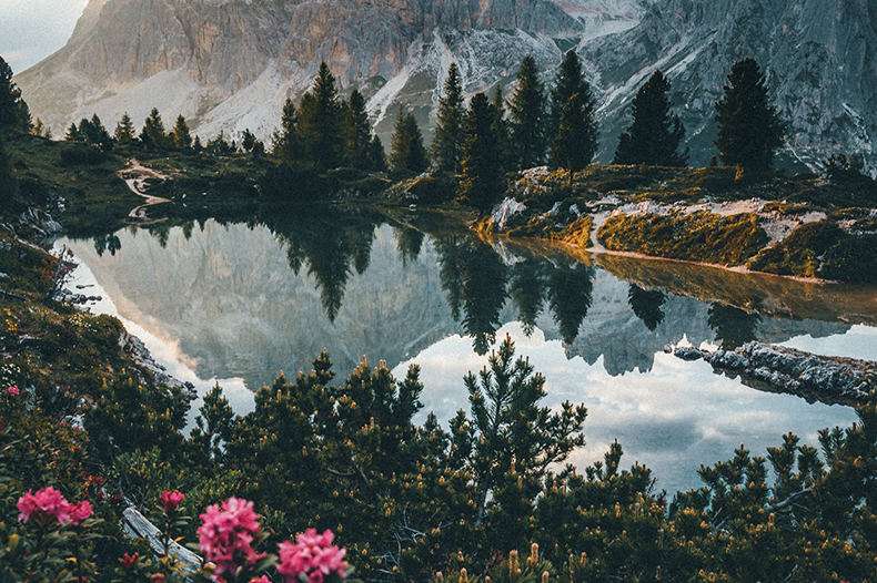 landscape